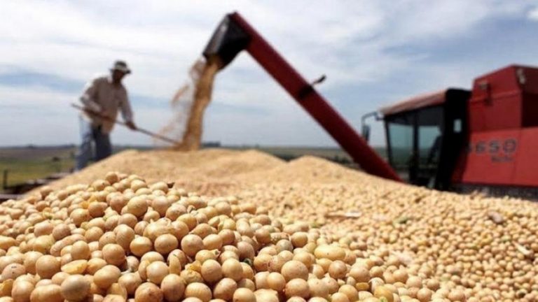 Crearon un programa de compensación para pequeños y medianos productores