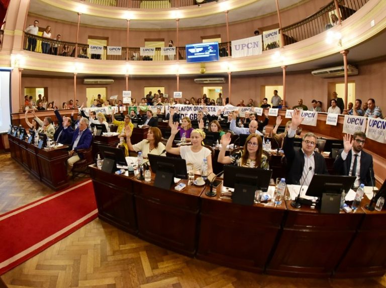 La Cámara de Diputados declaró ciudadanos ilustres a Lisandro Martínez y a Roberto Ayala