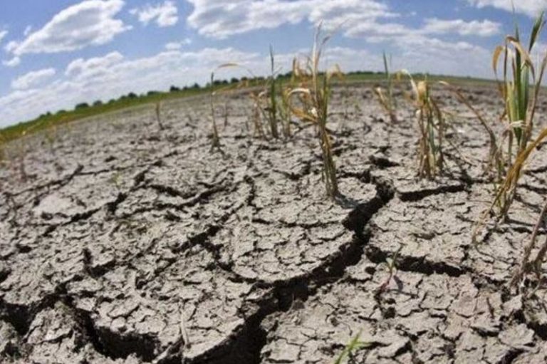 Sequía: el campo espera que esta semana se declare la emergencia agropecuaria