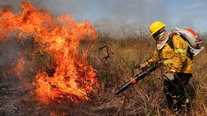 Impacto del cambio climático en la crisis de los incendios forestales en Brasil