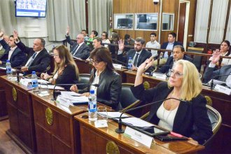 El Senado giró a comisión el proyecto sobre el IOSPER y aprobó la creación de una reserva en Colón